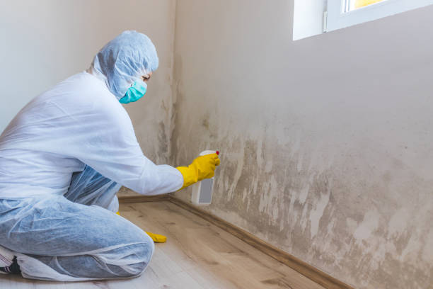 Licensed Mold Removal service in Coats, NC - WQB Mold Removal