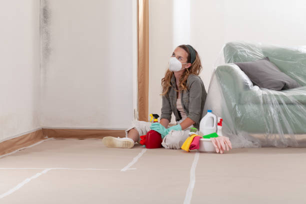 Reliable Mold Removal contractor in Coats, NC by WQB Mold Removal